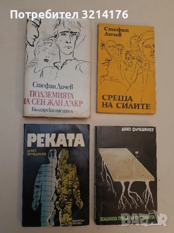 Подземията на Сен Жан д'Акр - Стефан Дичев