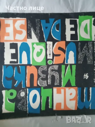 Грамофонна плоча-1лв