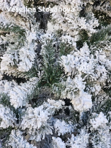 Изкуствена елха K r i n g Melbourne,  Цялата заснежена с метална стойка., снимка 7 - Декорация за дома - 52536794