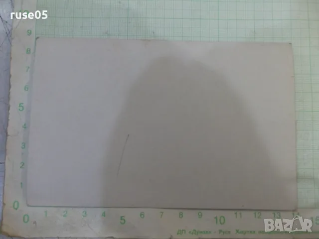 Снимка стара на излет сред природата - 4, снимка 2 - Колекции - 47905290