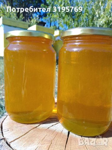 Натурален пчелен мед букет от липа и слънчоглед реколта 2024, снимка 1