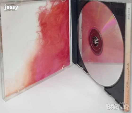 Zorica Brunclik - Колекция дискове, снимка 11 - CD дискове - 51363675