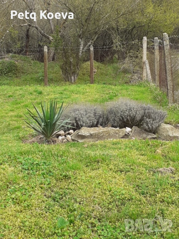 Къща за продажба в с.Странджа, снимка 14 - Вили - 53162428