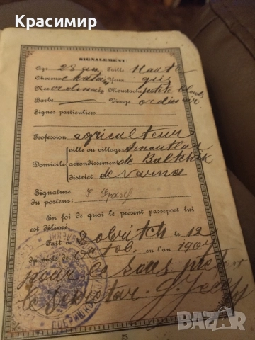 Годишенъ Паспортъ 1907 г Фердинанд | ., снимка 9 - Колекции - 52418149