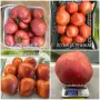 Семена от стари селски сортове домати,краставици и други, снимка 9