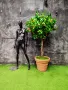 Изкуствени дървета и растения , снимка 10