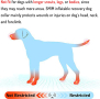 Надуваем нашийник за кучета за предпазване на рани и шевове след операция, (син, голям), снимка 2