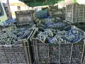 Грозде за вино и ракия, снимка 7