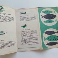 Стара брошура "Обичате ли Риба - 10 рецепти за рибни ястия", снимка 3 - Други - 42280293