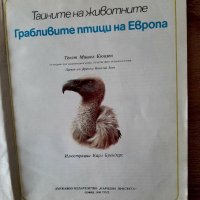 Детска енциклопедия за грабливите птици на Европа1990г, снимка 2 - Енциклопедии, справочници - 39370364