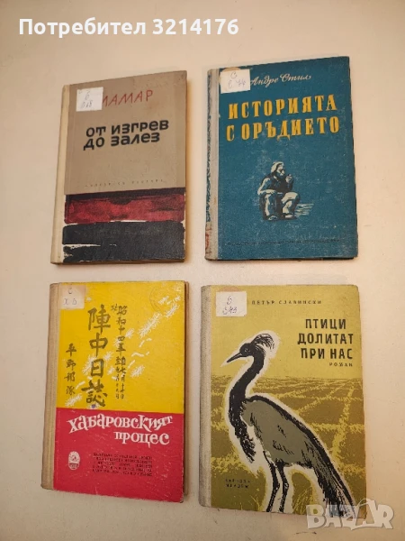 Птици долитат при нас - Петър Славински (1961), снимка 1