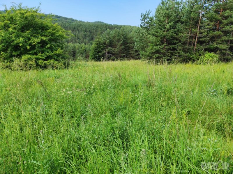 Продава поземлен имот в с.Плана, район Панчарево, снимка 1