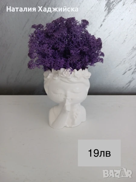 Кашпи със скандинавски мъх – тип „Лице“, снимка 1