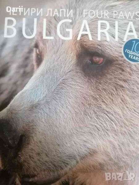 Четири лапи 10 години, снимка 1