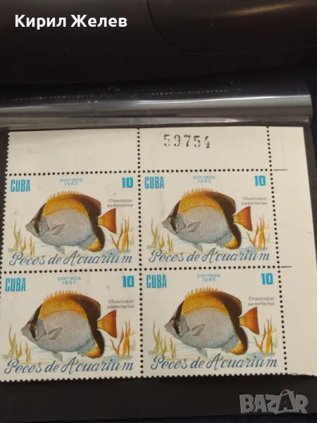 Пощенски марки чисти АКВАРИУМНИ РИБКИ поща КУБА за КОЛЕКЦИЯ ДЕКОРАЦИЯ 46512, снимка 1