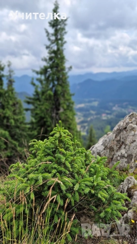 Частни уроци по математика Пловдив, снимка 2 - Ученически и кандидатстудентски - 51722657