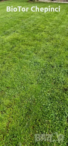 🌿Наторяване на трева с тор от Калифорнийски червей, снимка 11 - Тор и почвени смеси - 49967903