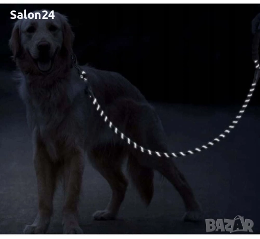 Повод за куче 5 метра, светлоотразителен, с контейнер за отпадъци, Purlov, снимка 4 - За кучета - 52287629