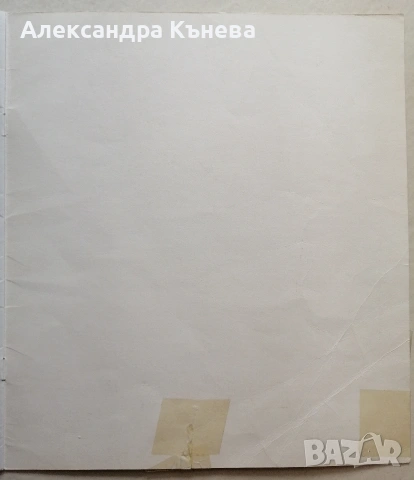 Във вълшебната гора , снимка 10 - Детски книжки - 50783458