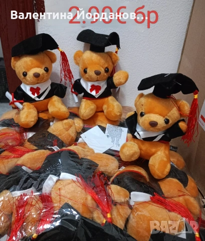 абитуриентски балове , снимка 13 - Други - 53849307