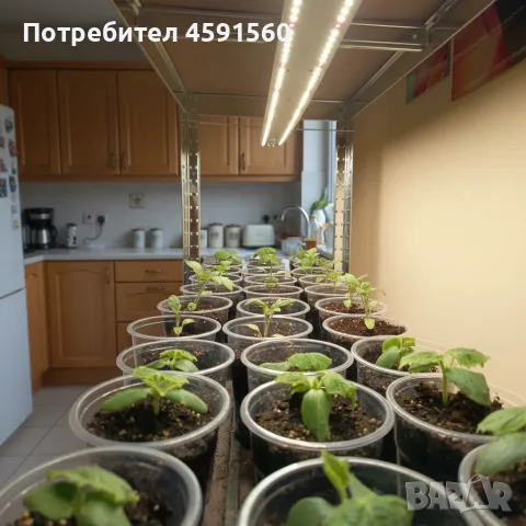 Универсална LED лампа за растения SUNLIGHT 25W PRO 1.0  , снимка 10 - Лед осветление - 56129281