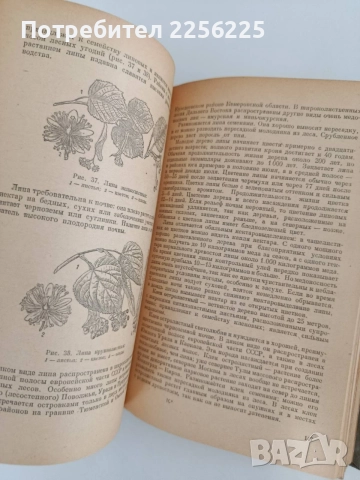 Пчеловодство 1955г, снимка 5 - Специализирана литература - 55889778