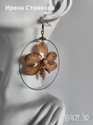 Обеци с естествен цвят на орхидея в кафяви нюанси.