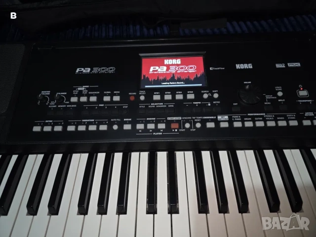 Korg pa300
