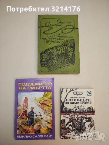 Романи от Емилио Салгари, снимка 4 - Художествена литература - 48981115