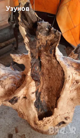 Декорация за градината -Корен от Дъб, снимка 4 - Декорация за дома - 48558312