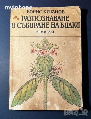 Стара Книга Разпознаване и Събиране на Билки / Борис Китанов, снимка 2 - Специализирана литература - 49528287