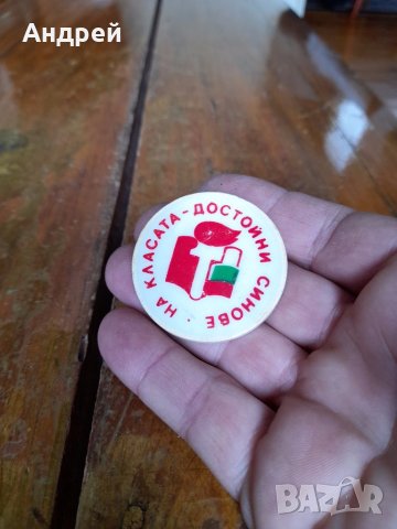 Значка На Класата достойни синове, снимка 2 - Колекции - 41228094