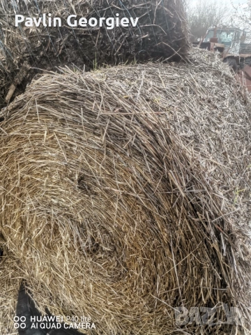 Бали слама, снимка 2 - Други стоки за животни - 53873392