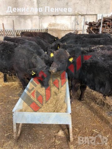 Хранилка за биволи, снимка 4 - За селскостопански - 34653702