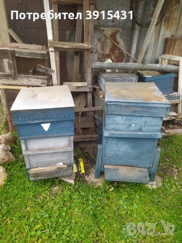 Пчелни кошери, снимка 2 - За пчели - 53656137