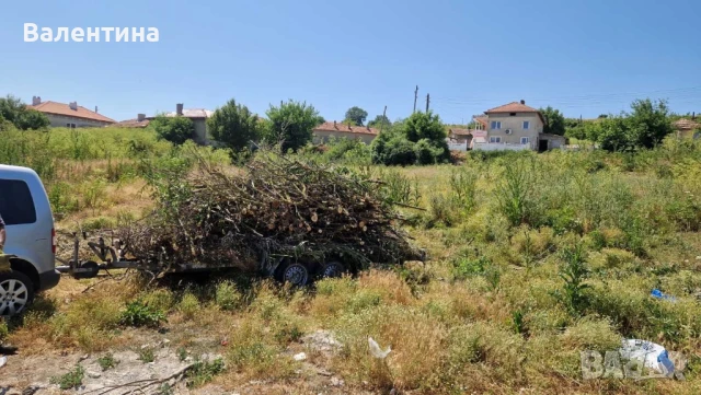 Почистване на дворове , снимка 4 - Други почистващи услуги - 50820860