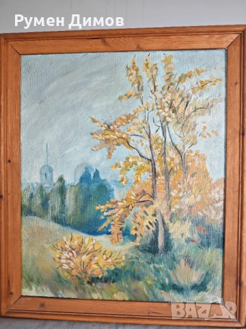 Продавам 2 броя картини - природни пейзажи