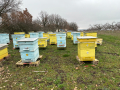 Продавам пчелни семейства с многокорпусен кошери, снимка 5