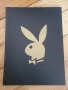 PLAYBOY Колекционерско Издание , снимка 2