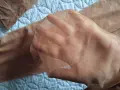 Еротични чорапи за жартиери Л / ХЛ, снимка 2