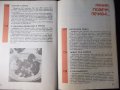 Книга "Негово величество картофът-Калина Ковачева" - 64 стр., снимка 7