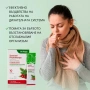 Сироп „Сезонна фитотерапия“ при кашлица, за дихателни пътища, за подсилване на имунитета, снимка 2