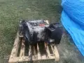 om651 двигател проблем , снимка 4
