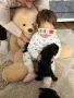 Той пудели - момиче и момче, снимка 4