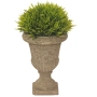 Декоративно зелено растение в кашпа, 21 см Код P1370, снимка 1