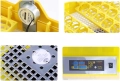 Напълно автоматичен инкубатор за 48 яйца 80W YZ8-48 за пилета, патици, гъски, пъдпъдъци, пуйки, друг, снимка 3