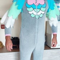 Каранавален - сценичен костюм - облекло на пернат папагал - петел , снимка 7 - Други - 41921100