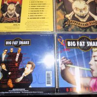 Дискове на -Steve Earle –Copperhead Road/Big Fat Snake-Beautiful Thing1994/ McGuinn-Back from Rio, снимка 9 - CD дискове - 39950432