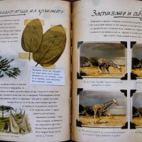 Записки на изследователя: Сафари животни, снимка 4 - Детски книжки - 42181584