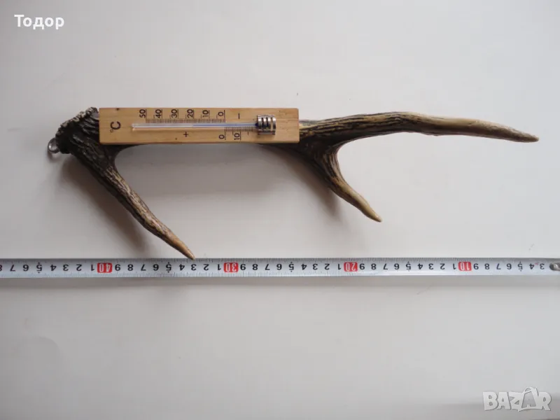 Ловен термометър еленов рог , снимка 1